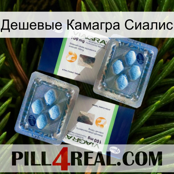 Дешевые Камагра Сиалис viagra5.jpg